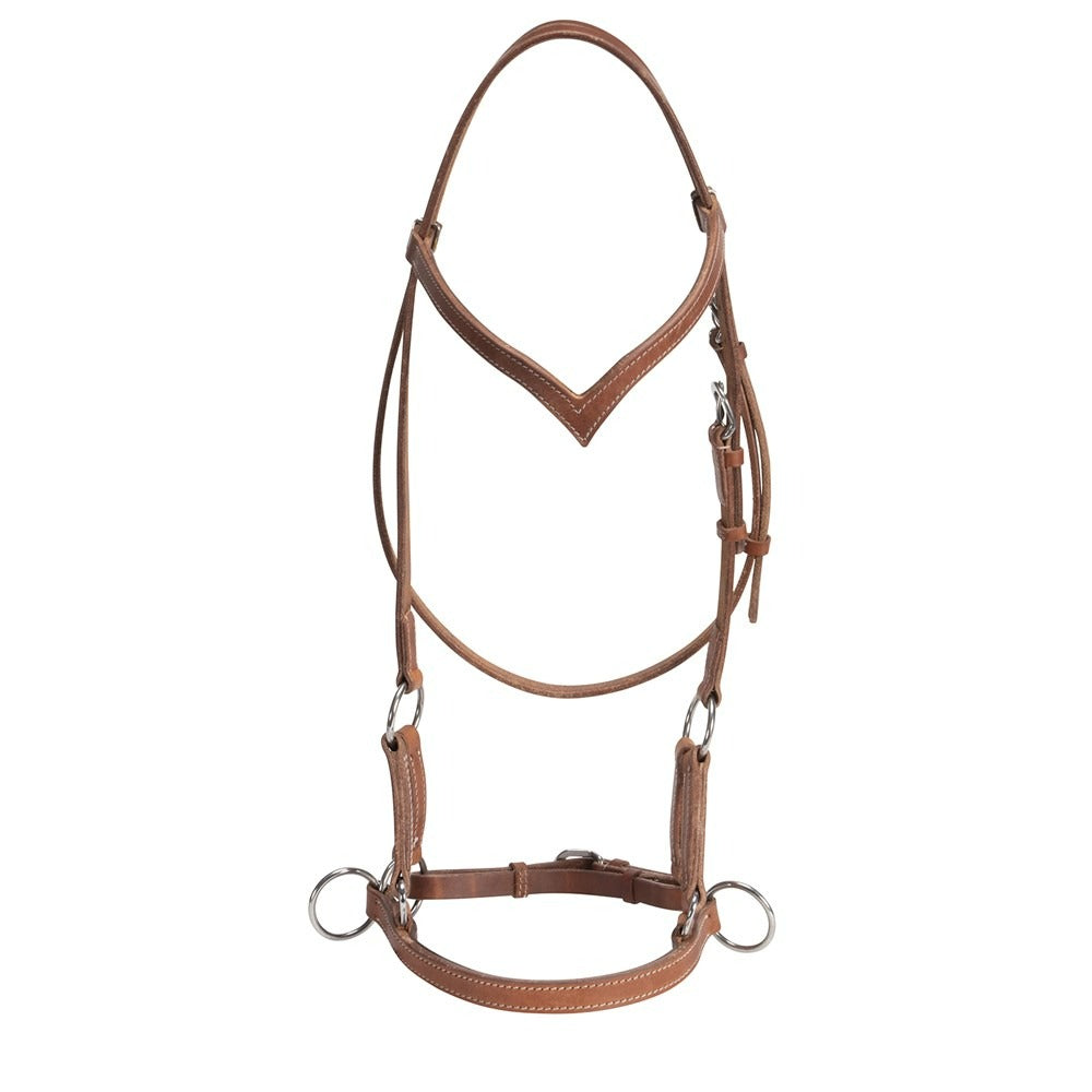 FORT WORTH SEATTLE SIDE PULL BRIDLE