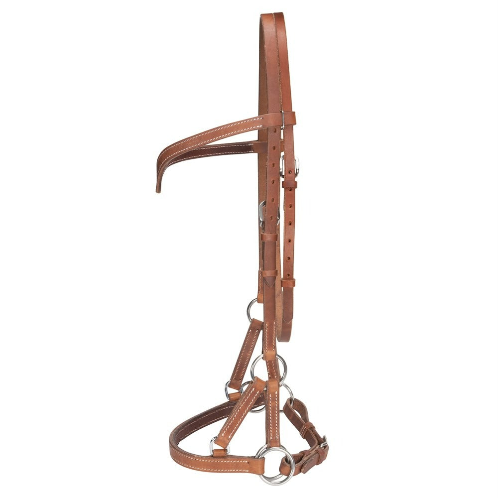 FORT WORTH SEATTLE SIDE PULL BRIDLE