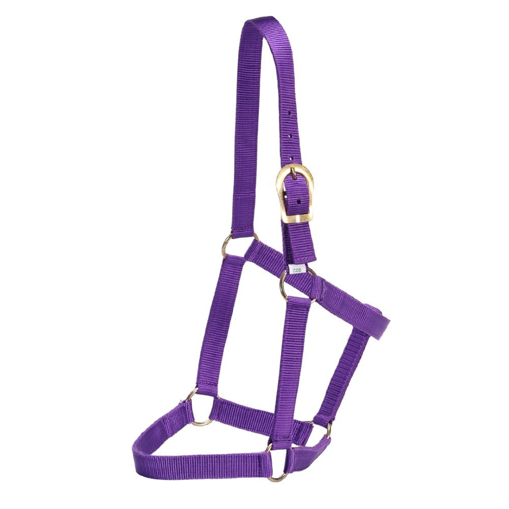 GG AUSTRALIA STABLE HALTER