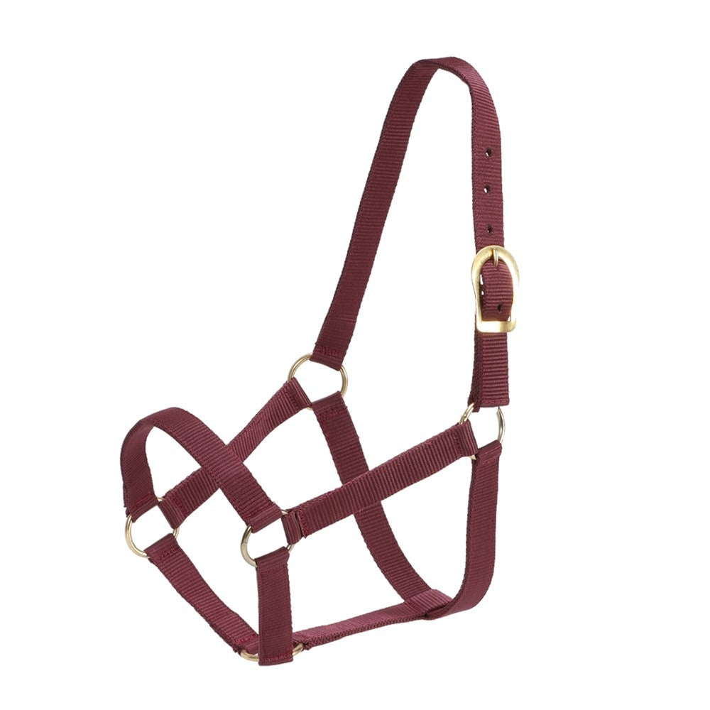 GG AUSTRALIA STABLE HALTER