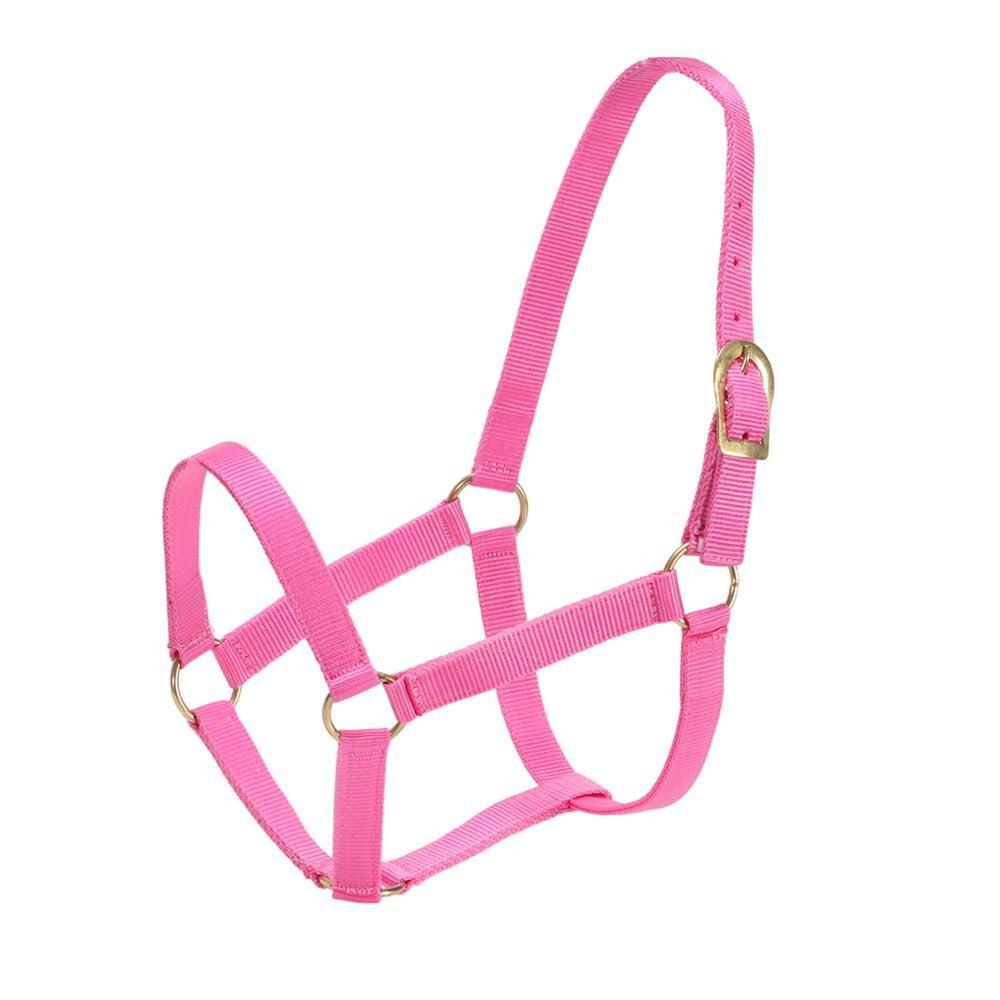 GG AUSTRALIA STABLE HALTER-Ranges Country
