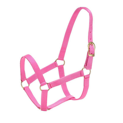 GG AUSTRALIA STABLE HALTER-Ranges Country