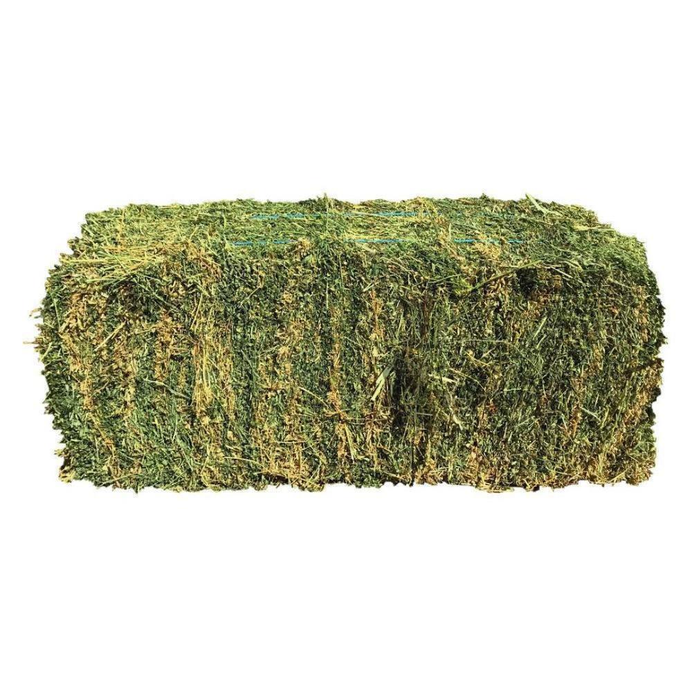 HAY BALES LUCERNE-Ranges Country