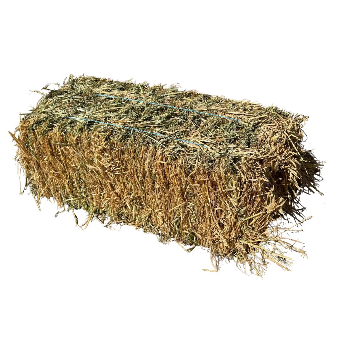 HAY BALES OATEN (MELROSE)-Ranges Country