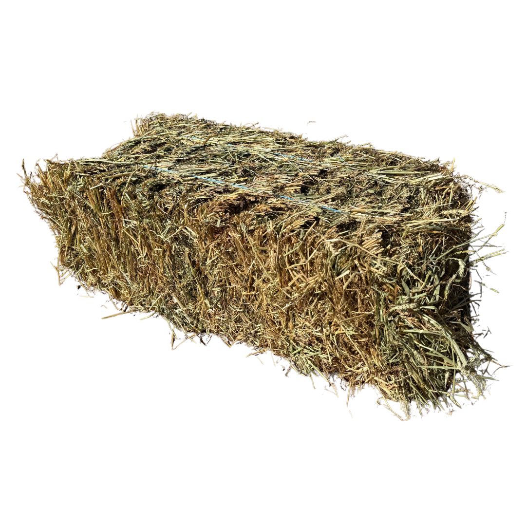 HAY BALES WHEATEN/VETCH (CLARE)-Ranges Country