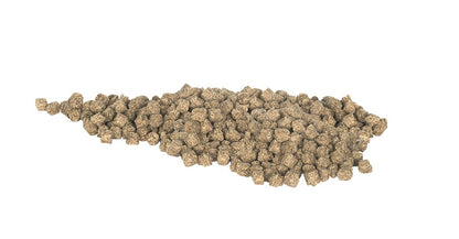 HYGAIN TRU BEET 20KG