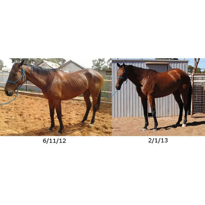 HYGAIN TRU GAIN 20KG