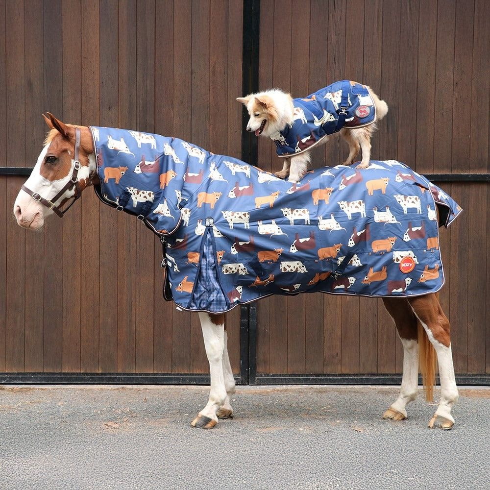 KOZY 1200D 200G NAVY COWS WINTER COMBO