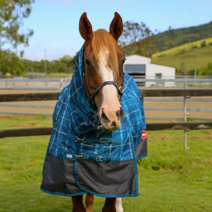 KOZY 1200D 250G BLUE TARTAN WINTER COMBO