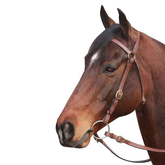 MCALISTER BARCOO BRIDLE-Ranges Country