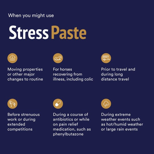 POSEIDON STRESS PASTE 60ml
