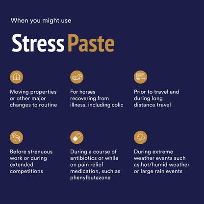 POSEIDON STRESS PASTE 60ml