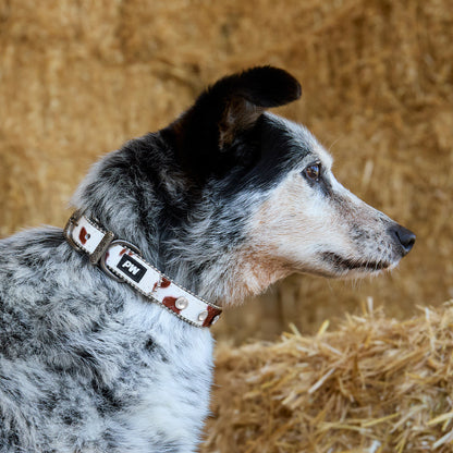 PURE WESTERN RANDY DOG COLLAR