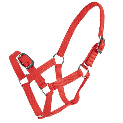 RANCHER ECONOMY FOAL HALTER