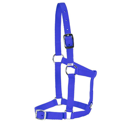 RANCHER ECONOMY FOAL HALTER