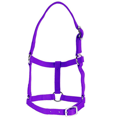 RANCHER ECONOMY FOAL HALTER