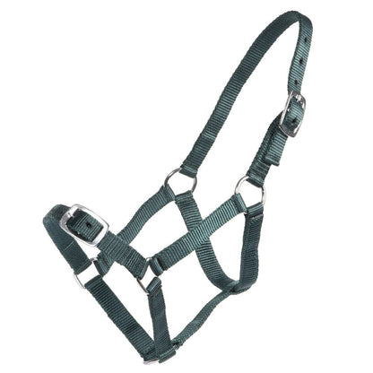 RANCHER ECONOMY FOAL HALTER-Ranges Country