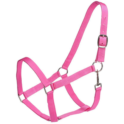 RANCHER ECONOMY STABLE HALTER