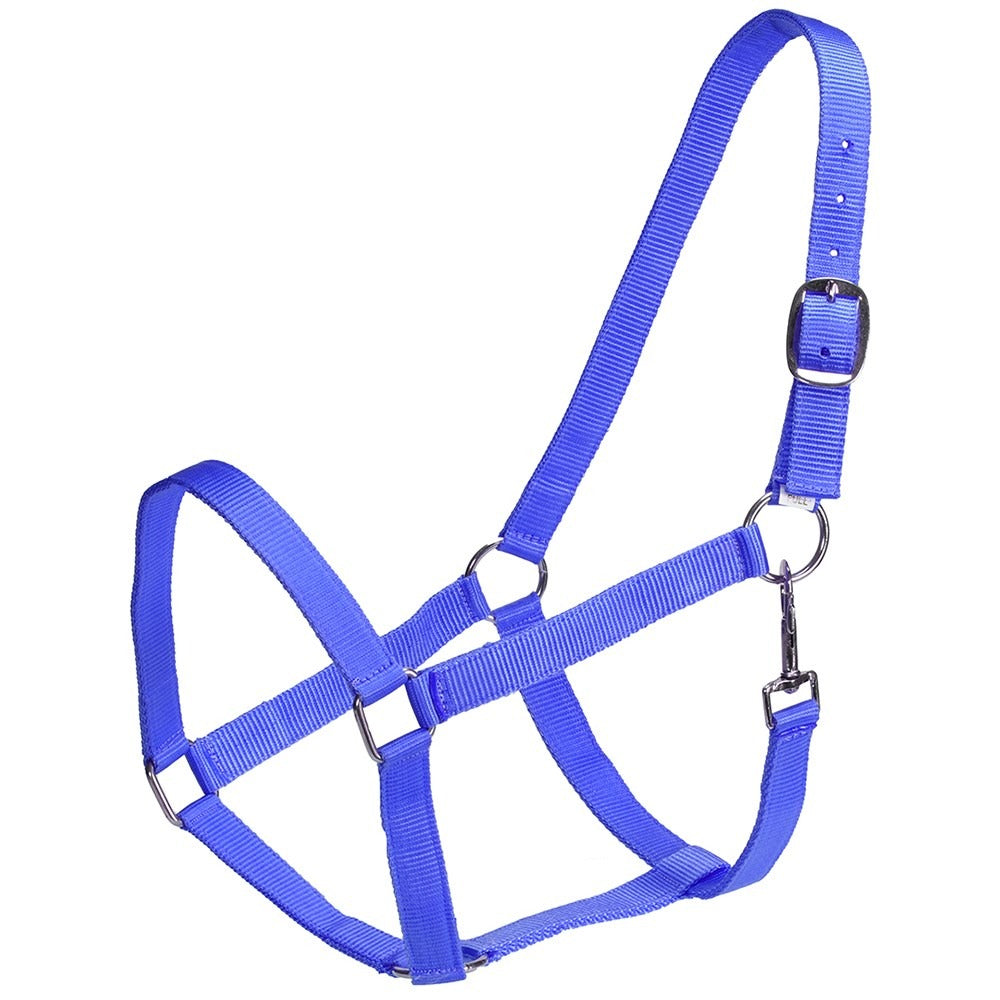 RANCHER ECONOMY STABLE HALTER