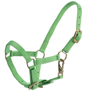 RANCHER FOAL HALTER-Ranges Country