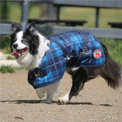 THERMO MASTER SUPREME BLUE TARTAN DOG COAT