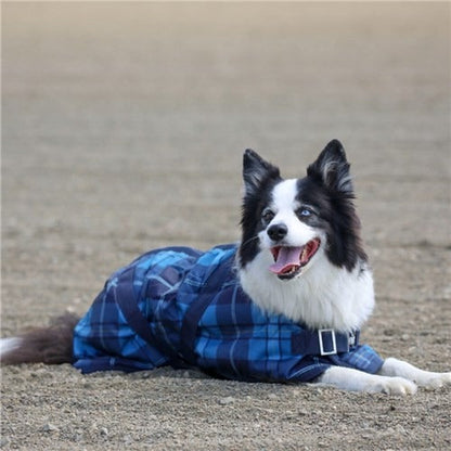 THERMO MASTER SUPREME BLUE TARTAN DOG COAT