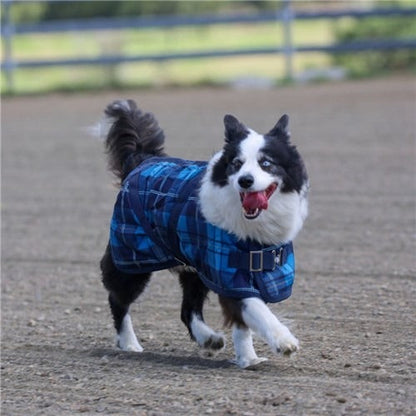 THERMO MASTER SUPREME BLUE TARTAN DOG COAT
