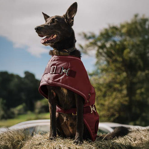 THERMO MASTER SUPREME CHERRY HI-VIS DOG COAT-Ranges Country