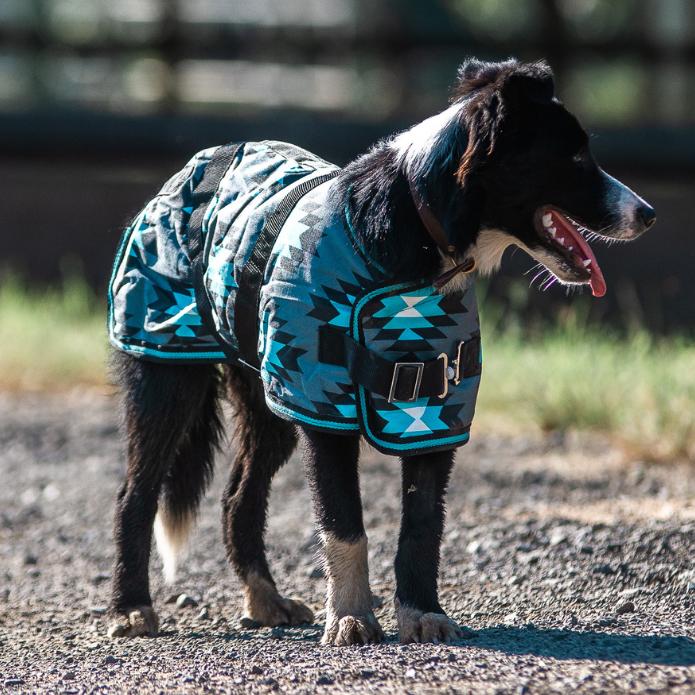 THERMO MASTER SUPREME TURQUOISE AZTEC DOG COAT