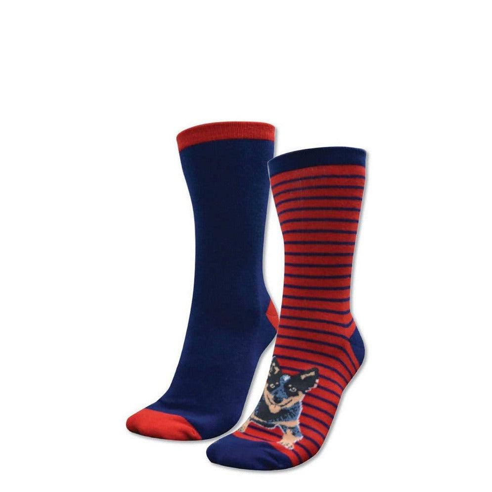 THOMAS COOK KIDS BLUE HEELER SOCKS 2PK-Ranges Country