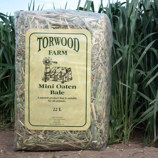 TORWOOD MINI OATEN HAY BALES-Ranges Country