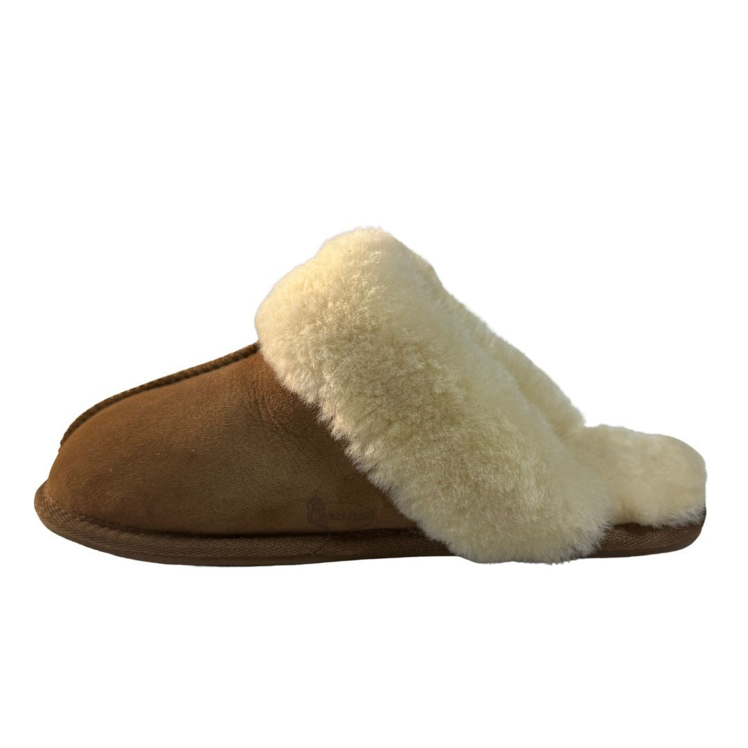 WILD GOOSE DAISY SCRUFF