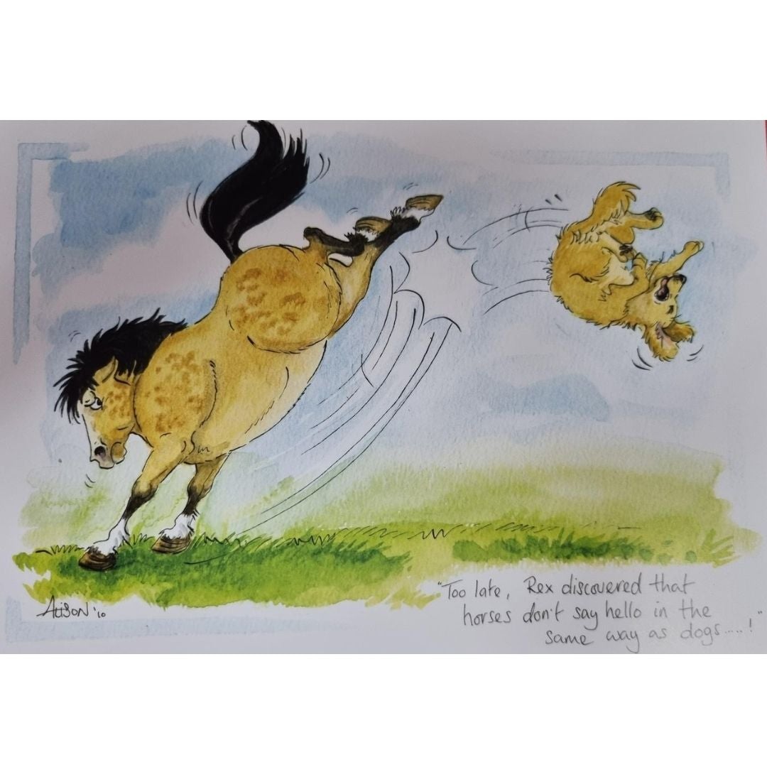 ALISONS ANTICS HORSE GIFT CARD