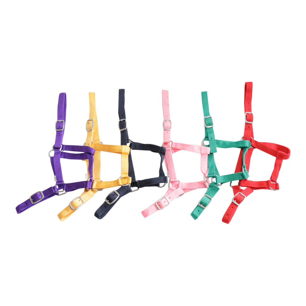 EUREKA BUCKLE HALTER-Ranges Country