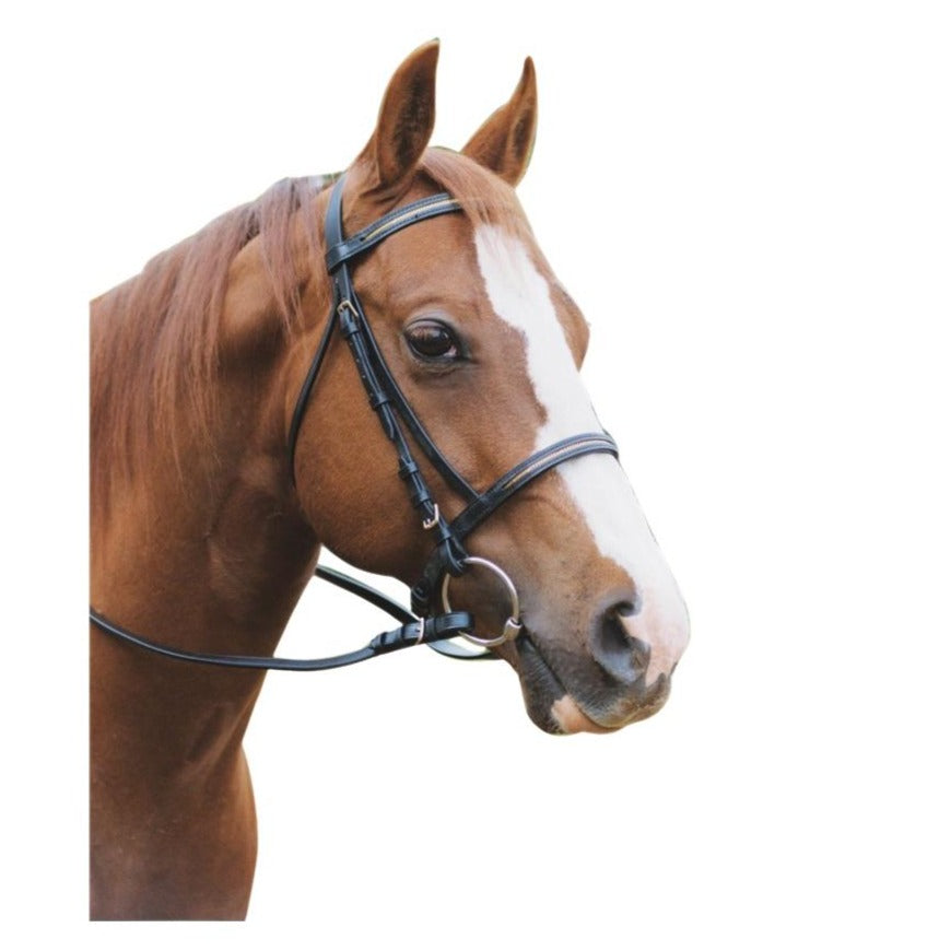 EUREKA CHAIN CAVESSON BRIDLE-Ranges Country