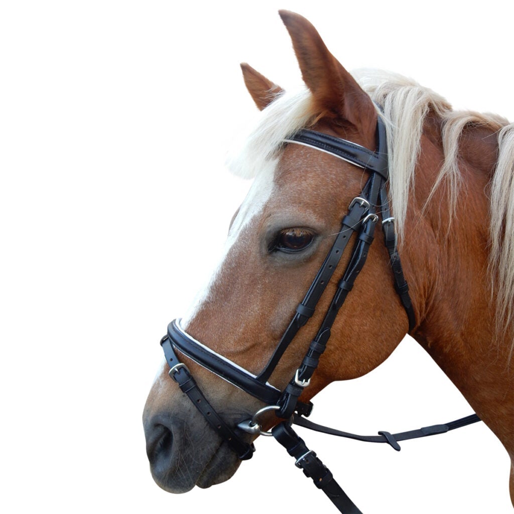 EUREKA EVENTING BRIDLE