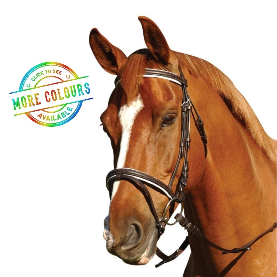 EUREKA EVENTING BRIDLE-Ranges Country