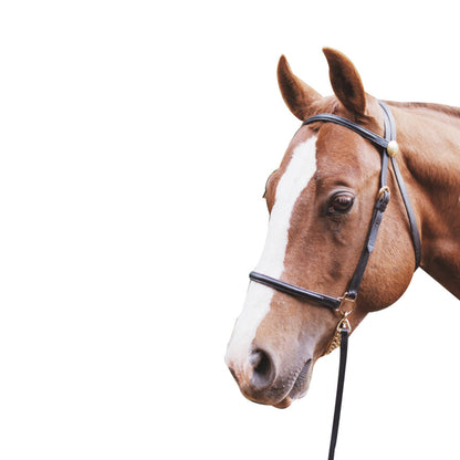 EUREKA LEAD IN BRIDLE-Ranges Country