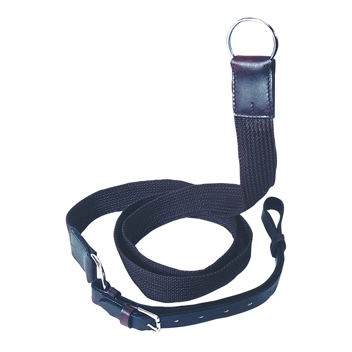 EUREKA NYLON WEBB RING SURCINGLE-Ranges Country