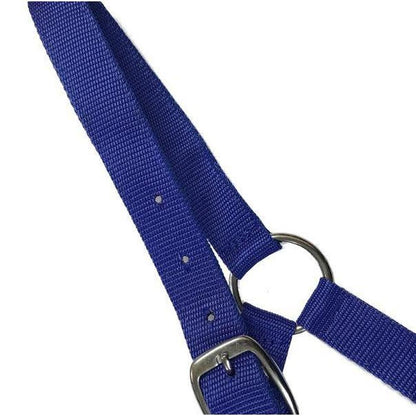 EUREKA SHETLAND HALTER