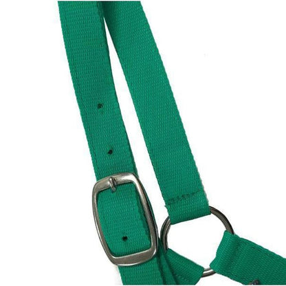 EUREKA SHETLAND HALTER