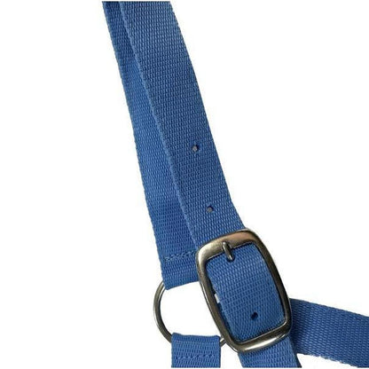 EUREKA SHETLAND HALTER