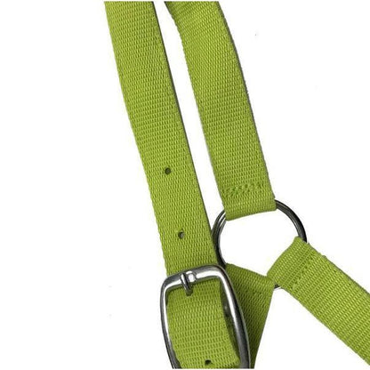 EUREKA SHETLAND HALTER
