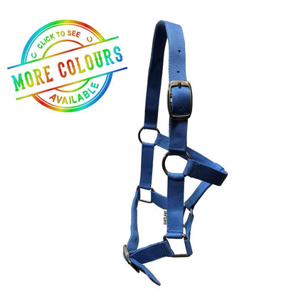 EUREKA SHETLAND HALTER-Ranges Country