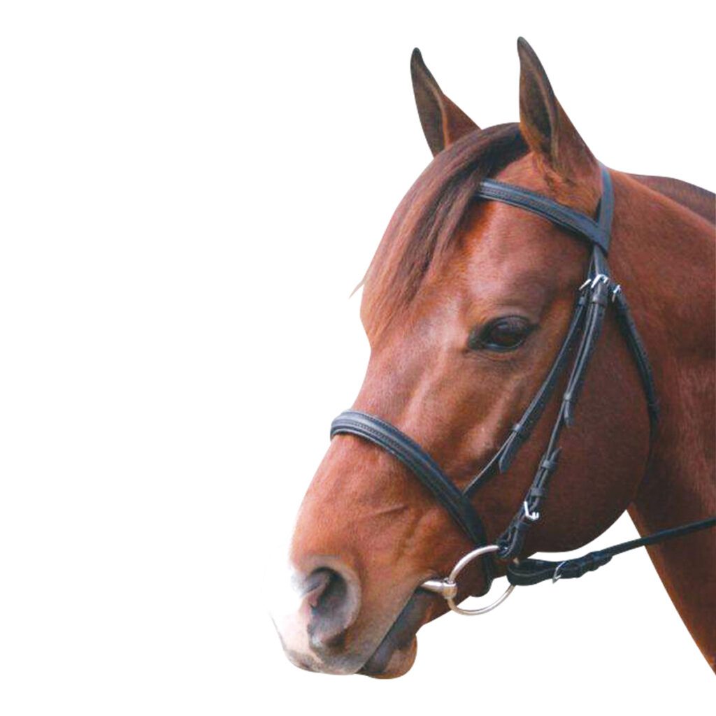 EUREKA SNAFFLE CAVESSON BRIDLE-Ranges Country