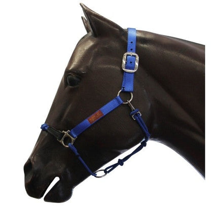 FORT WORTH HYBRID HALTER