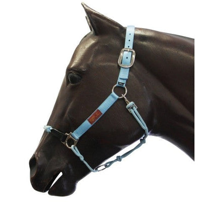 FORT WORTH HYBRID HALTER