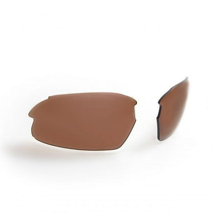 GIDGEE CLEANCUT TORTOISE SUNGLASSES