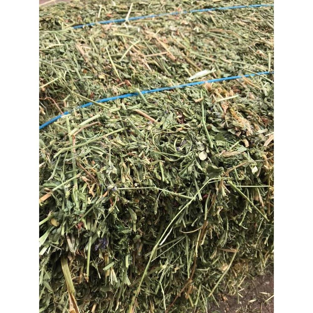 HAY BALES LUCERNE (MELROSE)