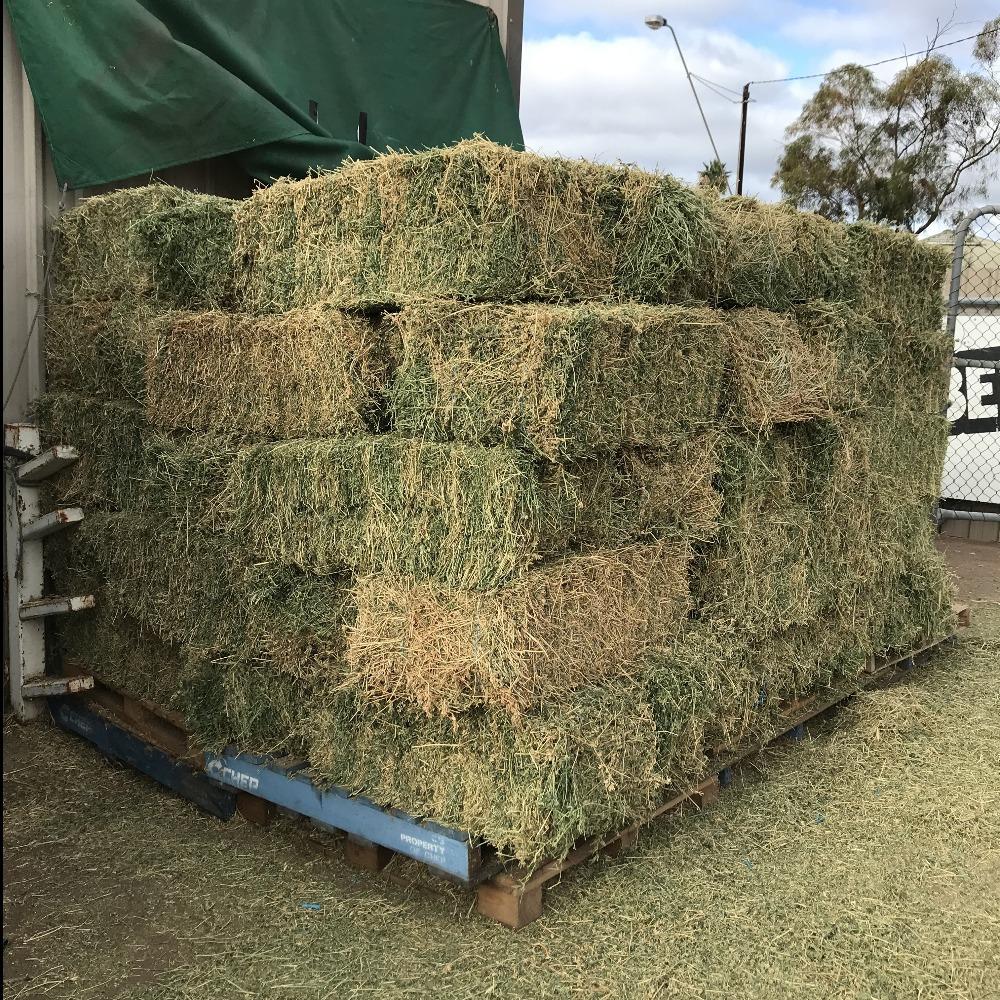 HAY BALES LUCERNE-Ranges Country